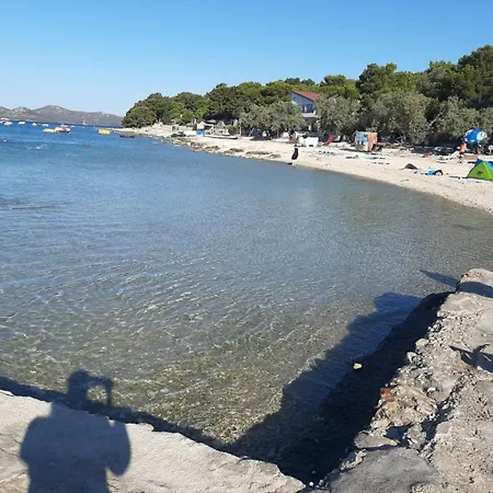 Mare
